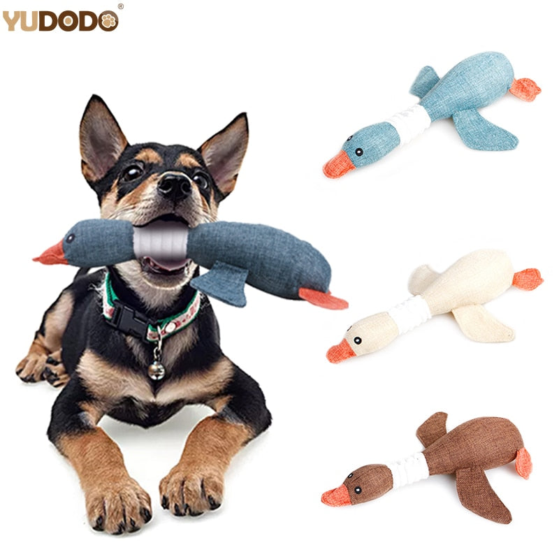 Dog Toys Cleaning Teeth